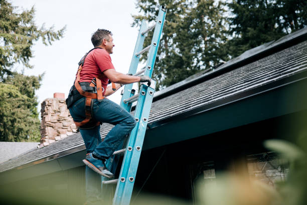 Best Gutter Replacement  in Cuero, TX